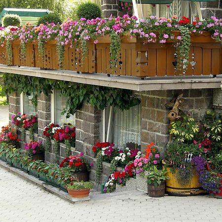 Albergo Trentino モエナ エクステリア 写真